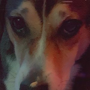 Meet your Posher, Eva